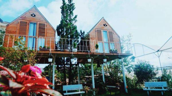 in-the-pines-homestay-da-lat-12