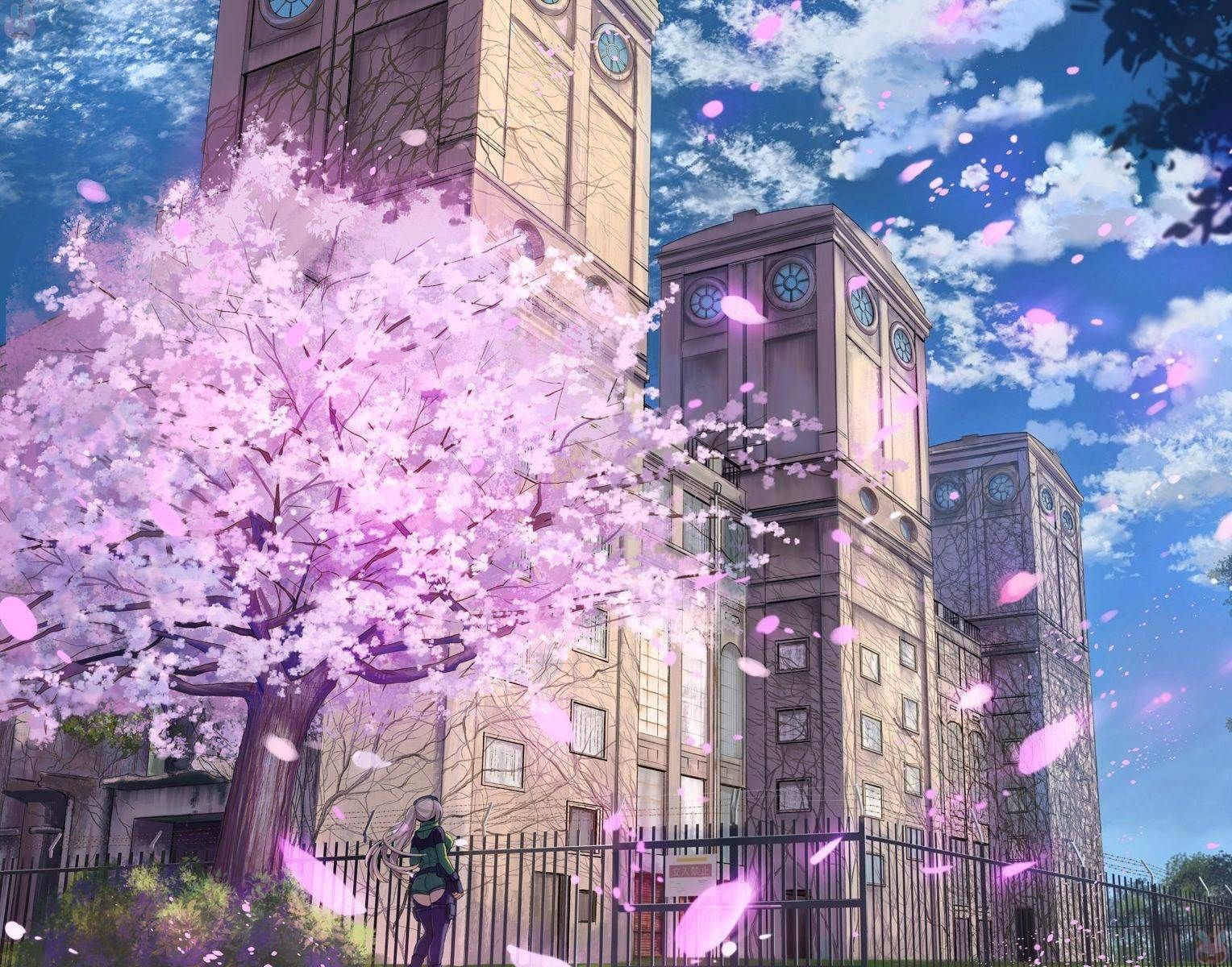 Hình hoa anh đào anime