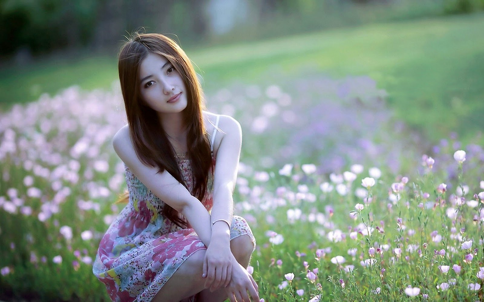 Ảnh gái xinh giữa cánh đồng hoa