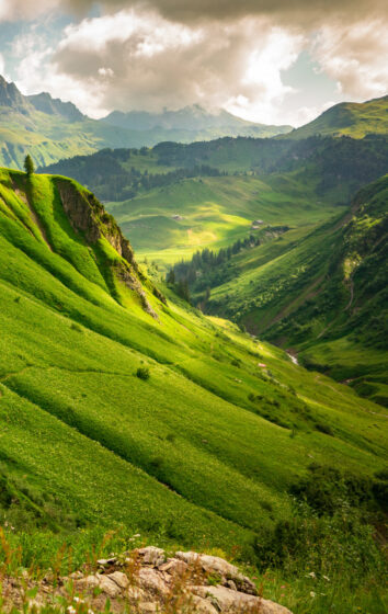 Ảnh núi phủ đầy màu xanh của cỏ cây