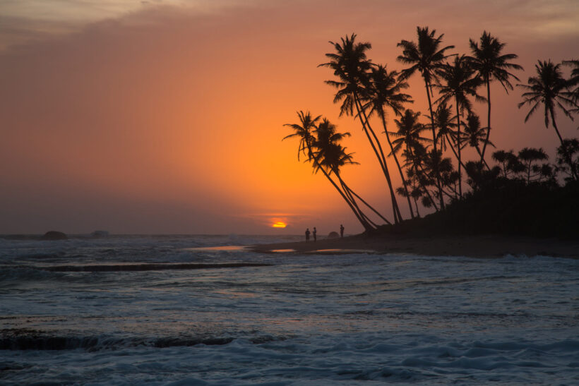 Hình ảnh cây dừa bên bờ biển buổi chiều tối