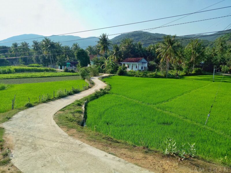Hình ảnh con đường làng quê