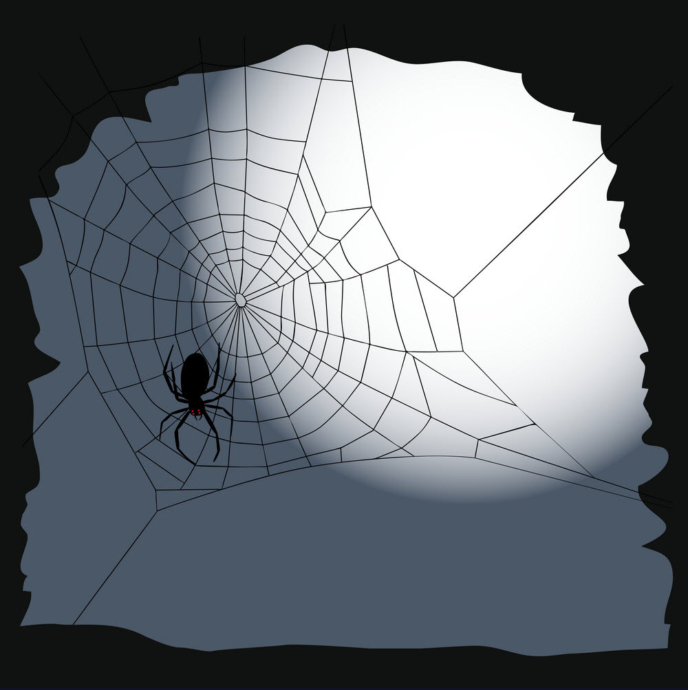 Hình ảnh con nhện giăng tơ