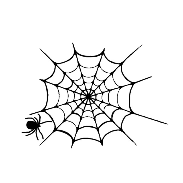 Hình ảnh con nhện
