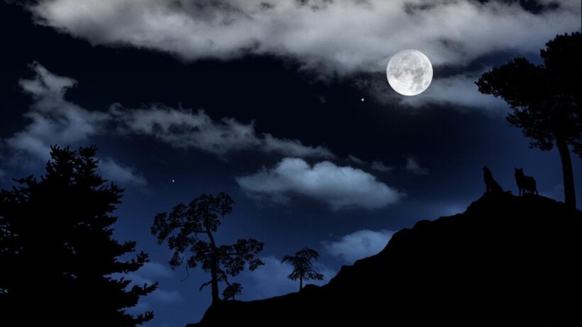 Chi tiết hơn 67 tranh vẽ mặt trăng siêu hot  Tin Học Vui