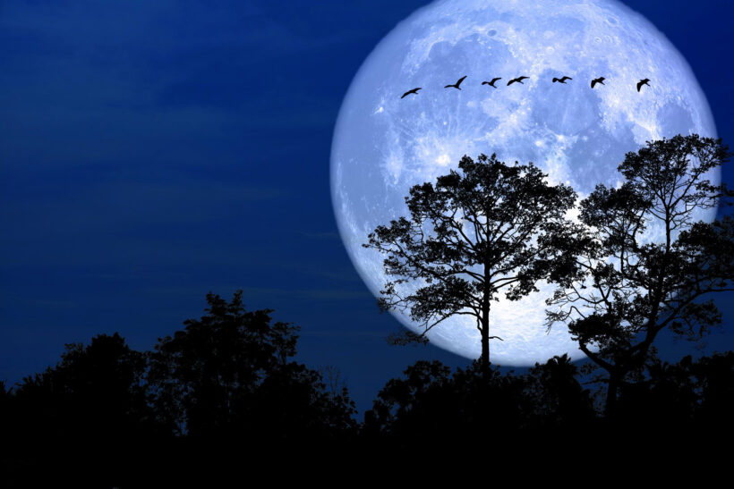 Tạo hình nền Mặt trăng theo ngày tháng năm sinh