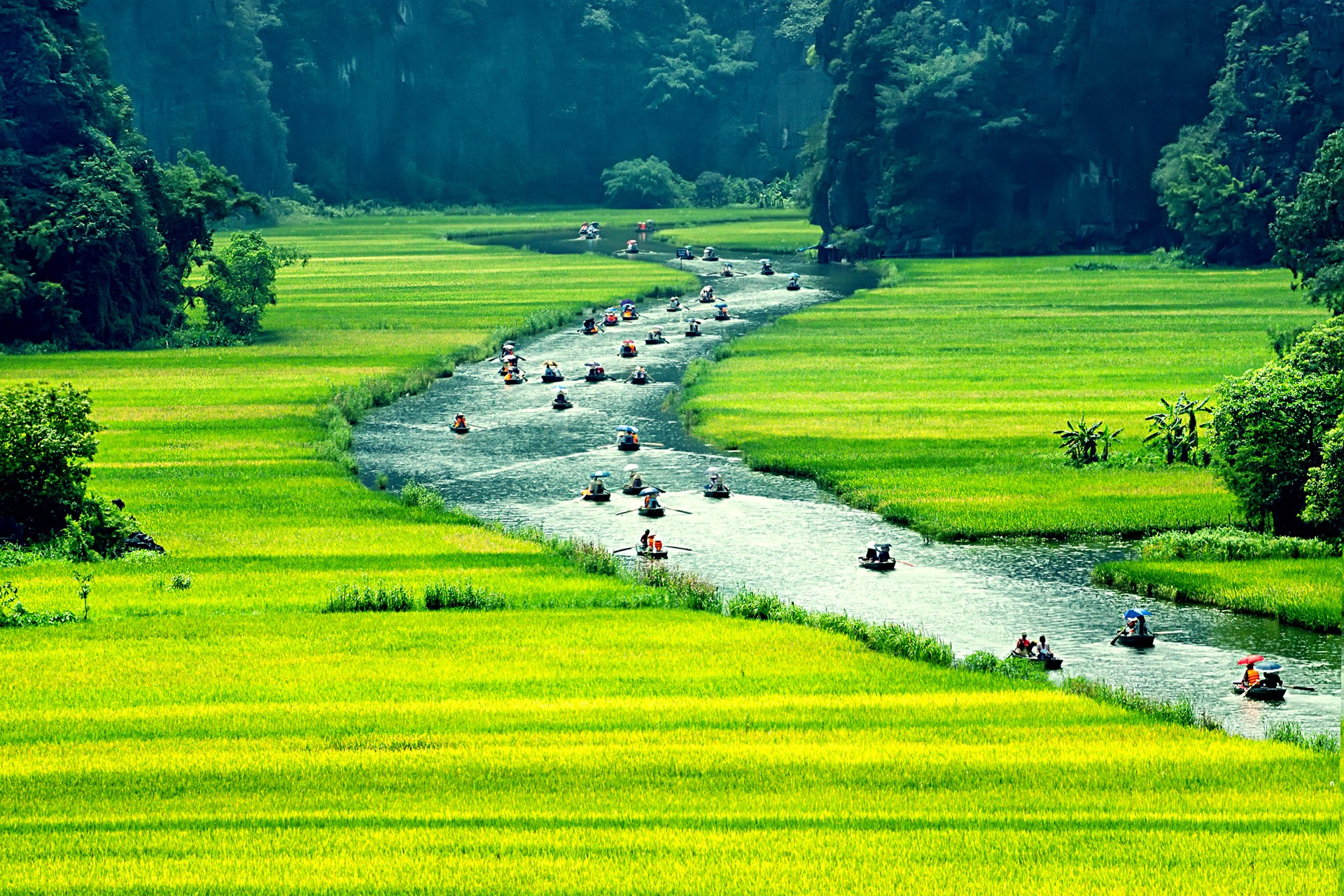 Hình ảnh Việt Nam 