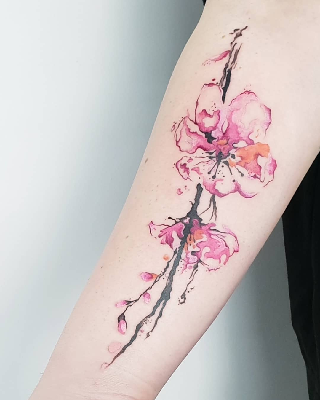 XĂM HÌNH HOA ANH ĐÀO kín lưng  Cherry Blossom Tattoo  YouTube