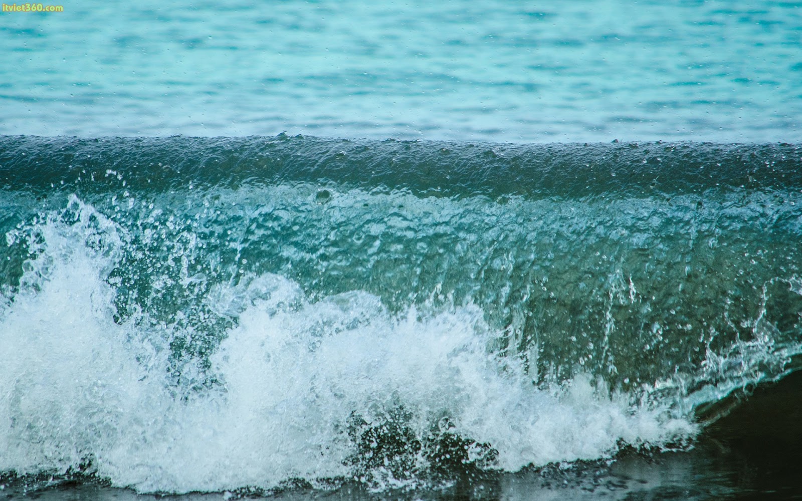 Những hình ảnh sóng biển đẹp nhất