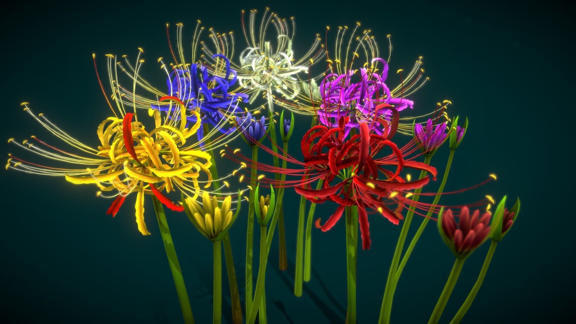 Hơn 1000 mẫu hình nền hoa bỉ ngạn xanh tự nhiên và đẹp mắt